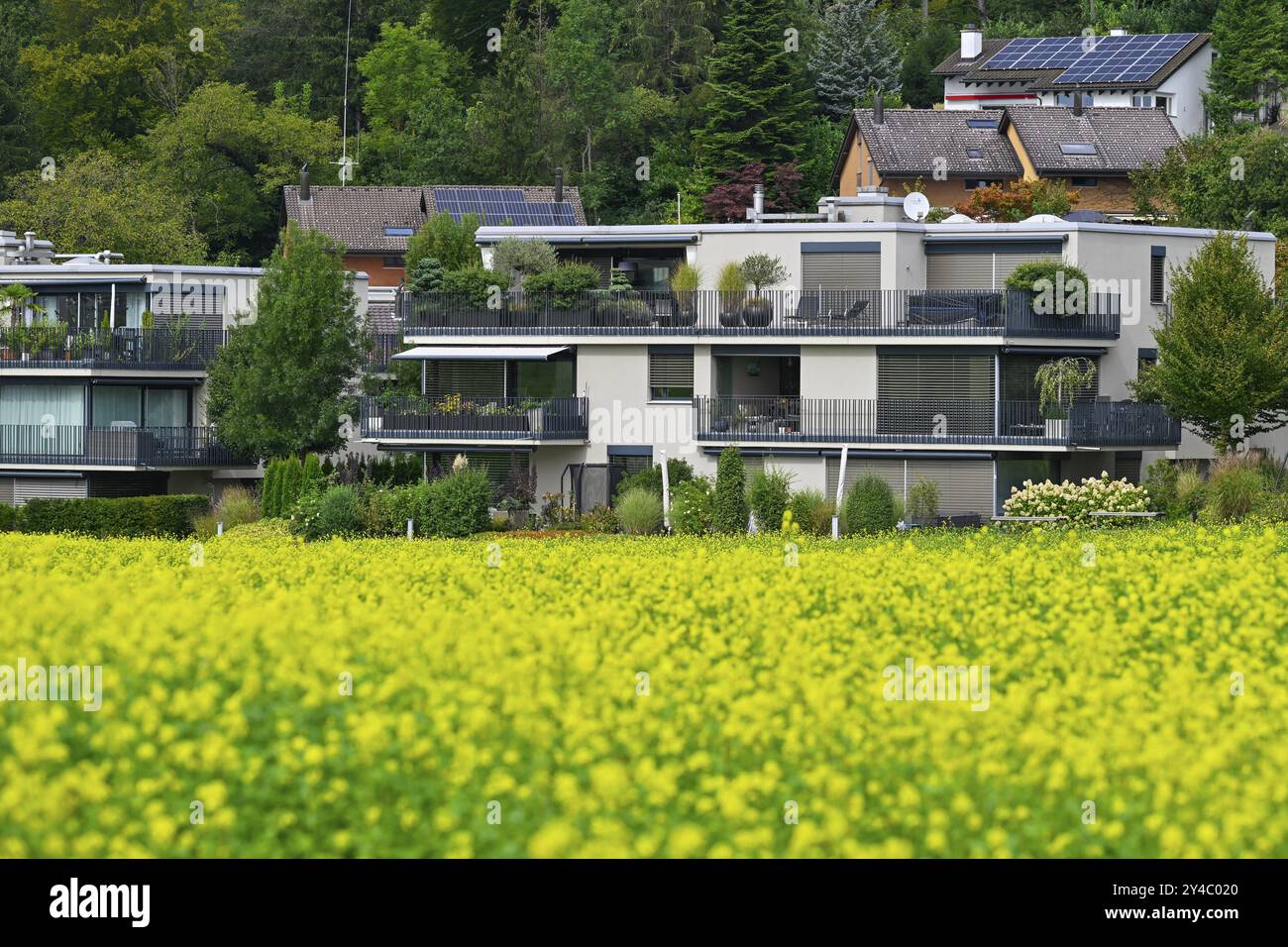 Wohnsiedlung Einfamilienhäuser Stockfoto