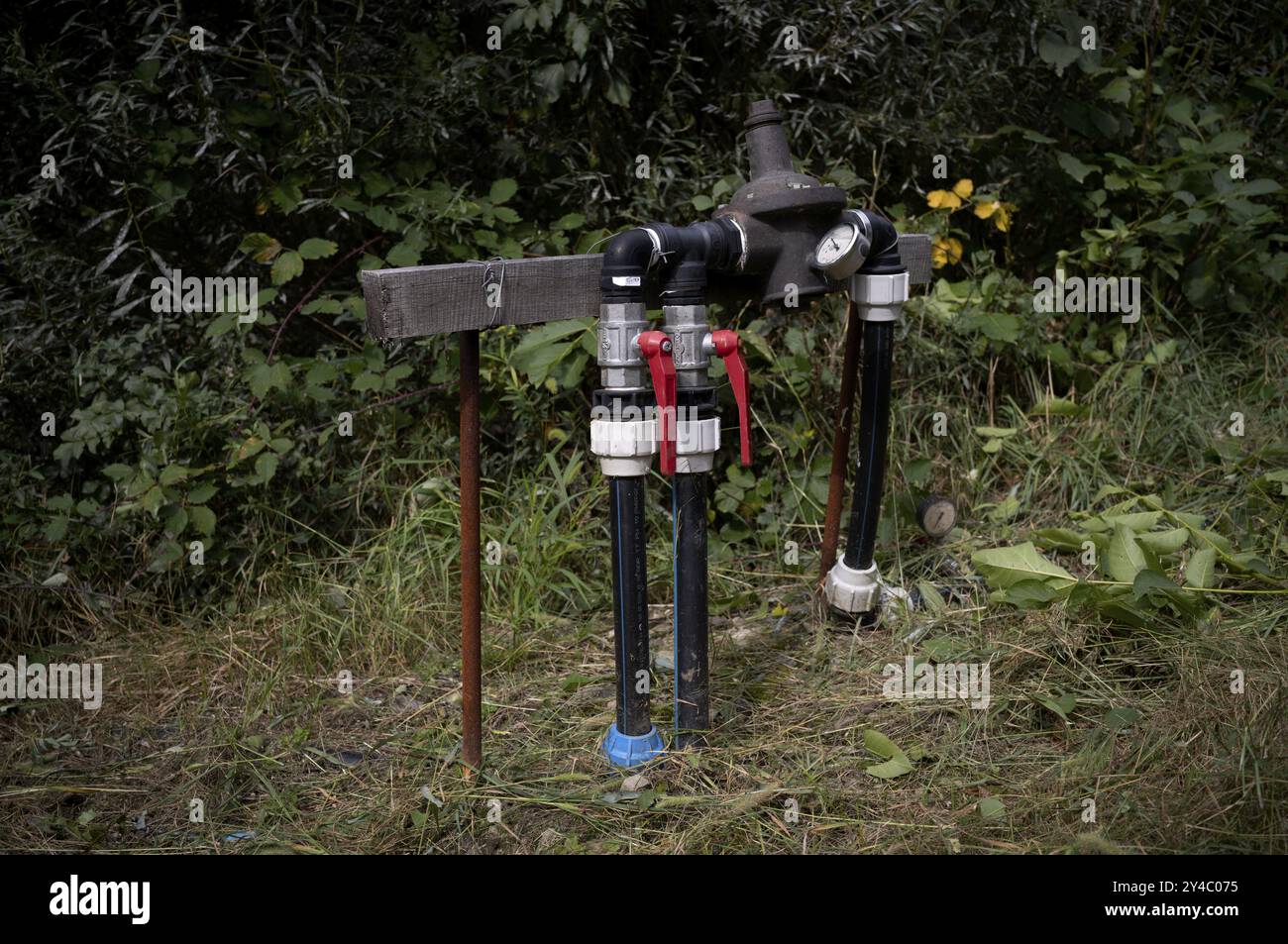 Bewässerungsmanagement, Bewässerung, Manometer, Apfelgarten, Obstgarten, Landwirtschaft, Agrarwirtschaft, Schenna, Schenna, Südtirol, Autonome Provinz Stockfoto