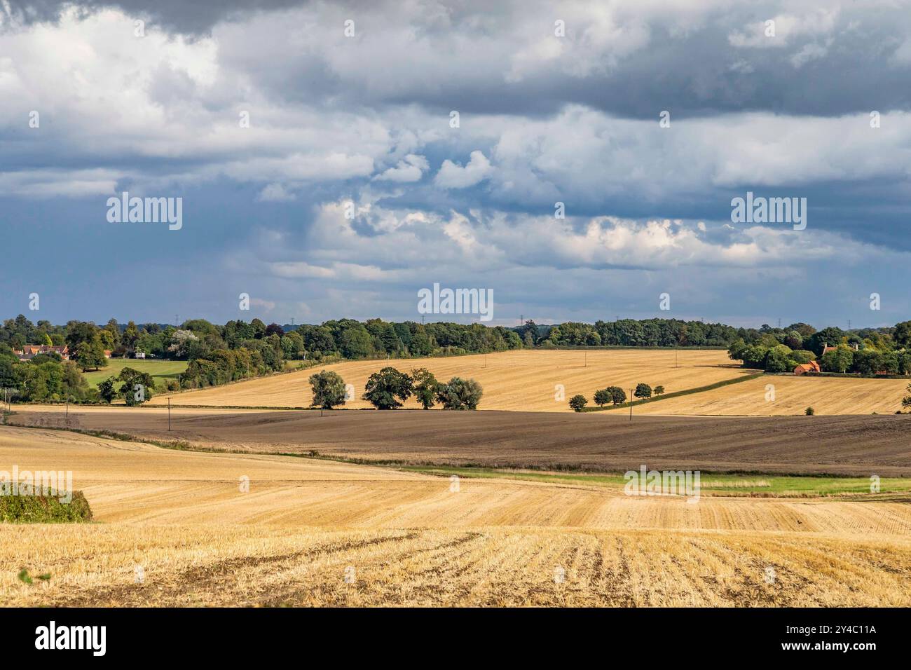 Farmland zwischen Denton und Whishton in Northamptonshire, von der Whishton Road entfernt. England, Großbritannien. Stockfoto