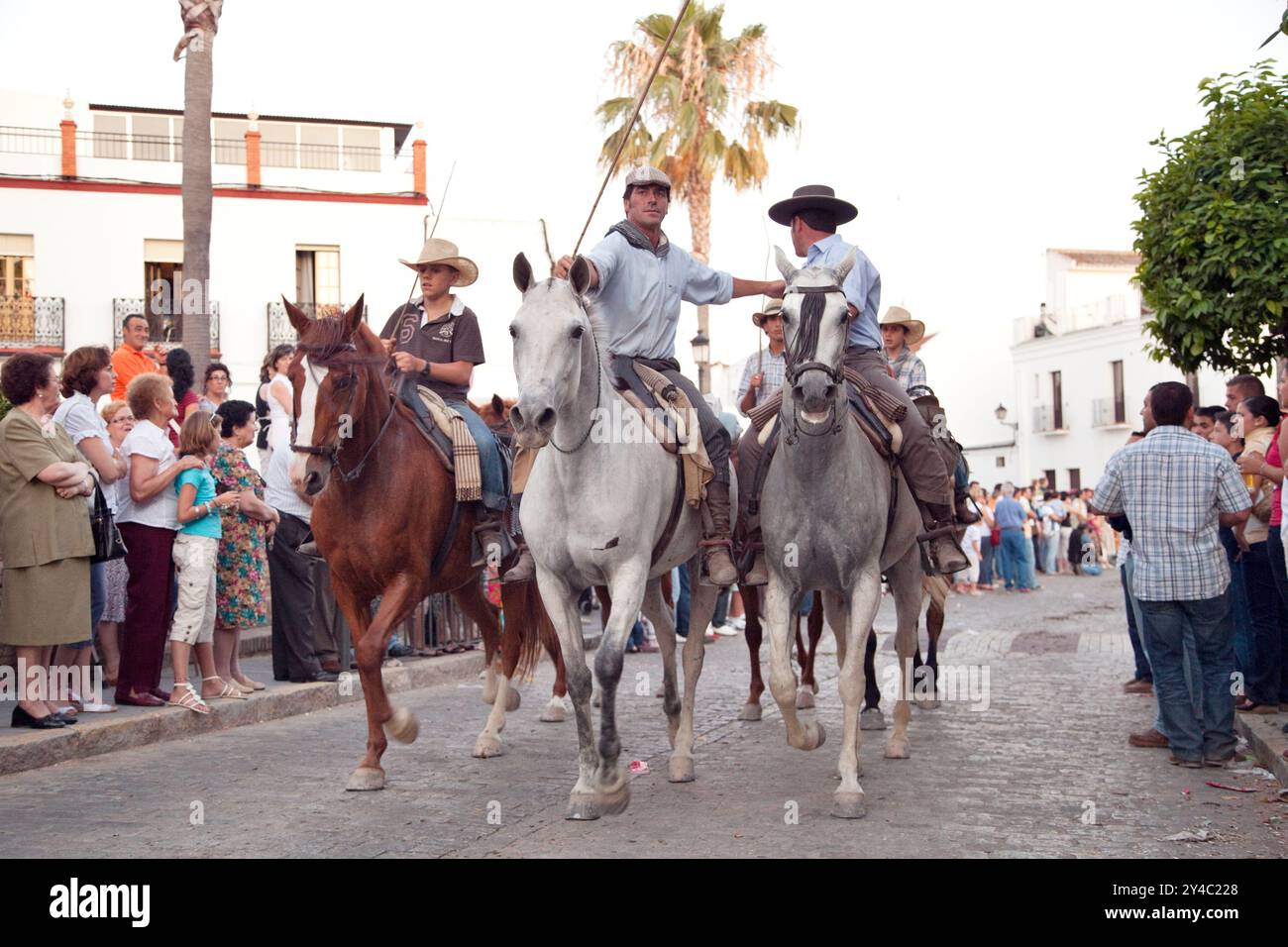 Almonte, Spanien, 26. Juni 2009, das Festival Saca de las yeguas in Almonte führt Reiter Wildstuten und Hengste vom Marschland Doñana zum Schlepptau Stockfoto