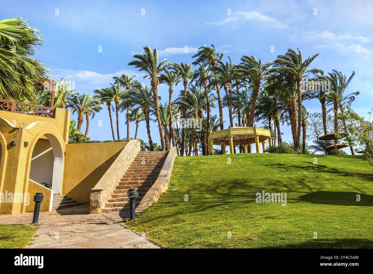 Rasen mit grünem Gras im ägyptischen Hotel Stockfoto