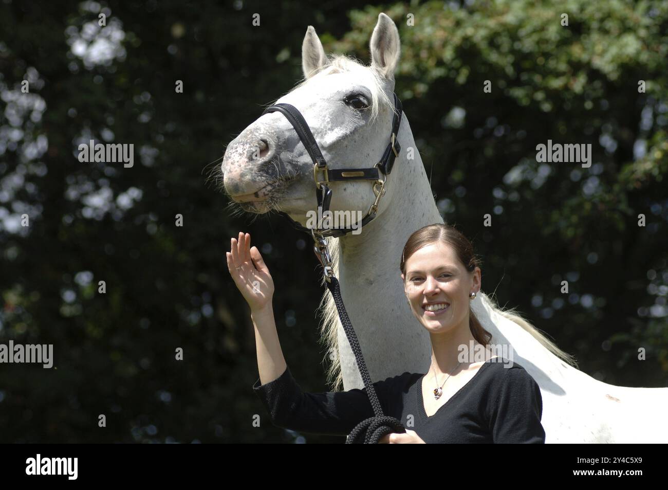Tigerhorse und junge Frau Stockfoto