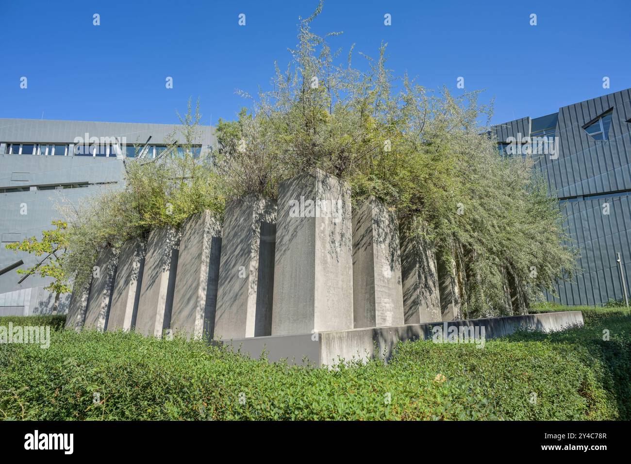 Garten des Exils, Jüdisches Museum, Lindenstraße, Kreuzberg, Friedrichshain-Kreuzberg, Berlin, Deutschland *** Exilgarten, Jüdisches Museum, Lindenstraße, Kreuzberg, Friedrichshain Kreuzberg, Berlin, Deutschland Stockfoto