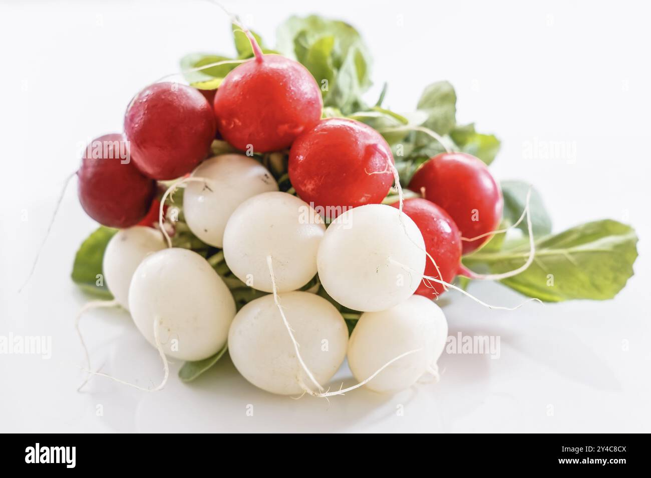 Ein Haufen roter und weißer Radieschen vor weißem Hintergrund Stockfoto