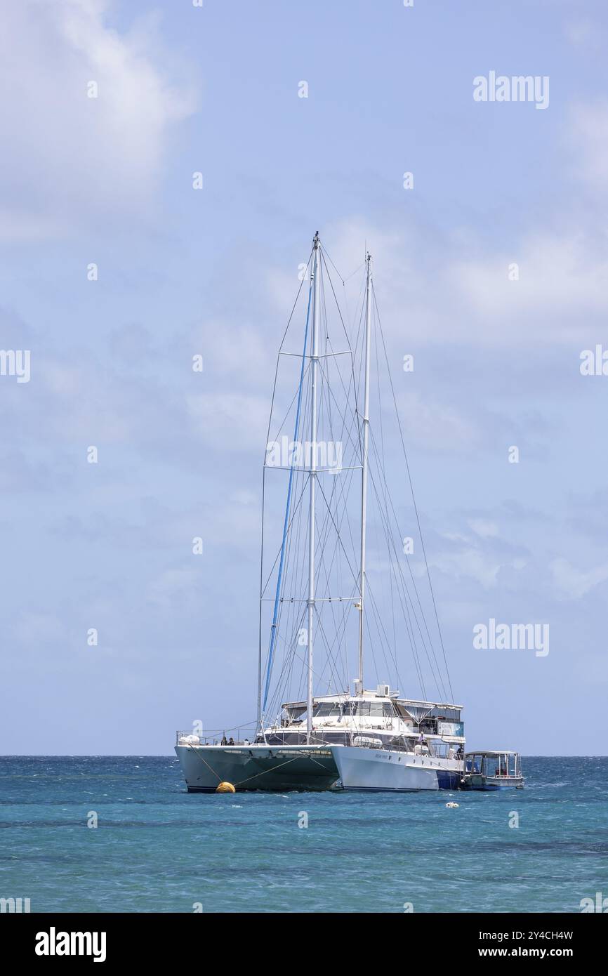 Katamaran, Great Barrier Reef, Michaelmas Cay National Park, 40 km nordöstlich von Cairns im Nordosten des australischen Bundesstaates Queensland Stockfoto