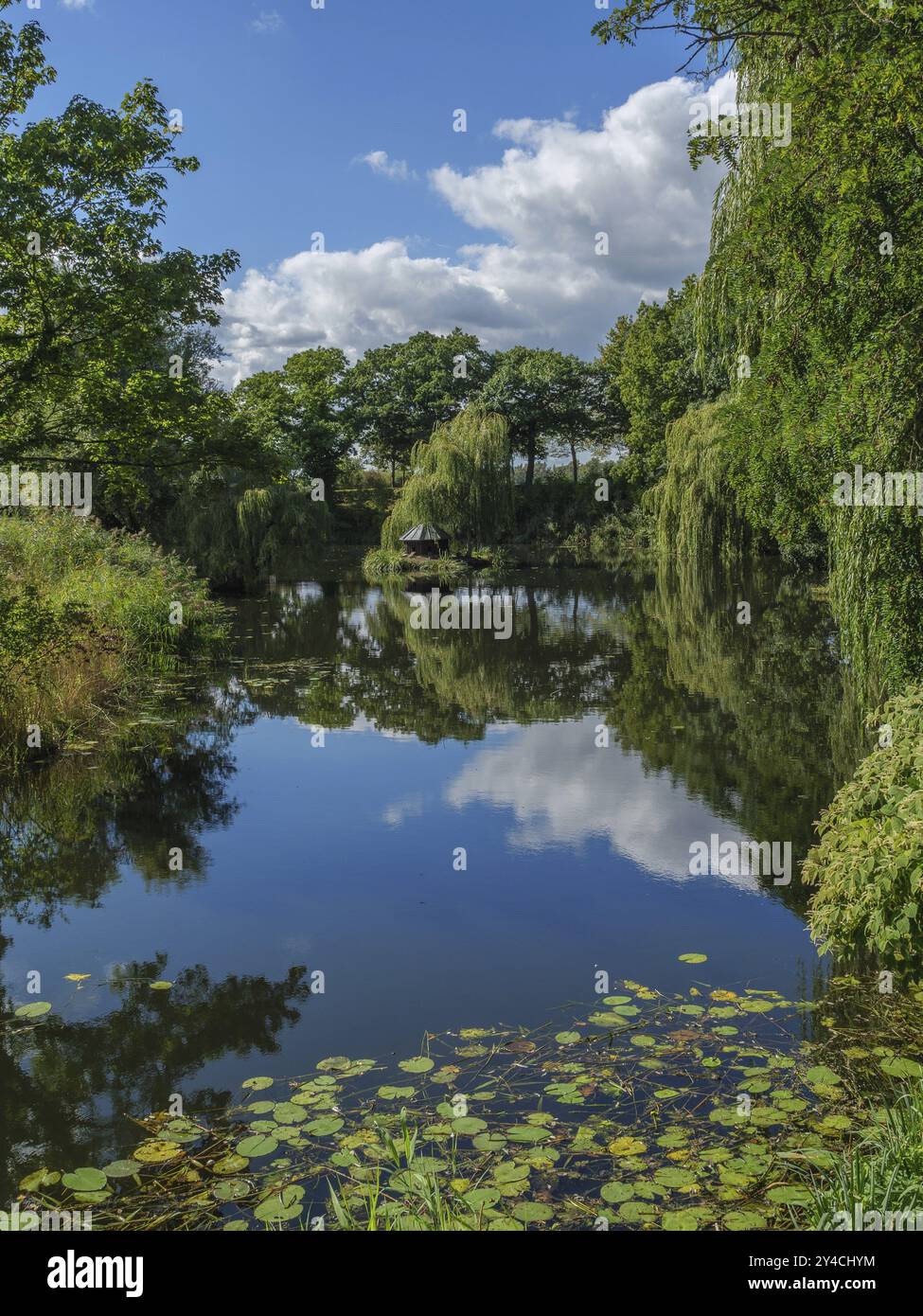 Malerischer See mit Bäumen und Seerosen auf ruhigem Wasser, das Himmel und Wolken reflektiert, doesburg, Niederlande Stockfoto