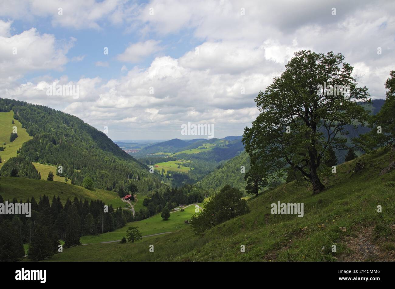 Blick in den Naturpark Allgaeu Nagelfluhkette Stockfoto