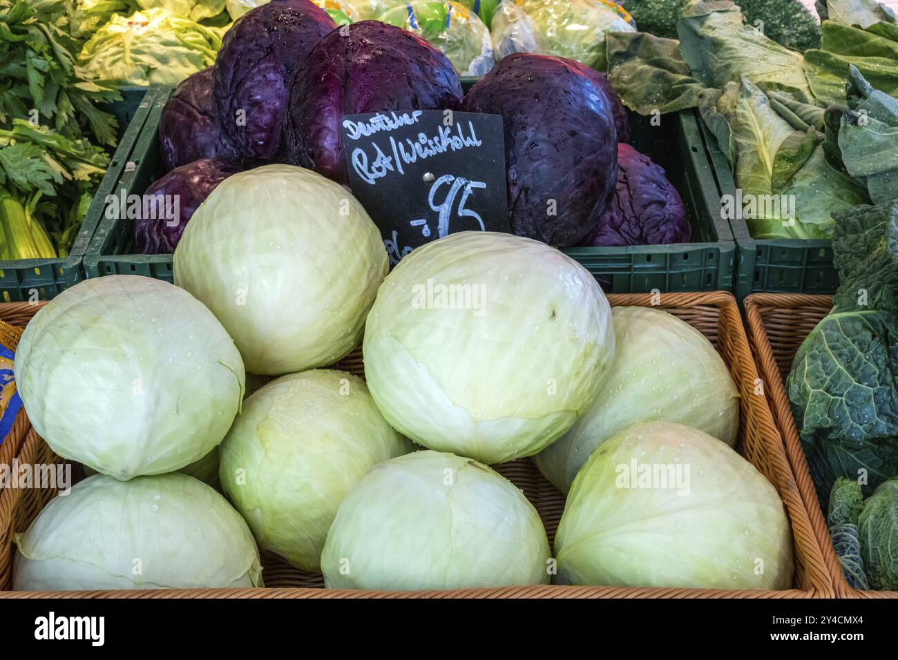 Weißkohl und Rotkohl zum Verkauf auf einem Markt Stockfoto