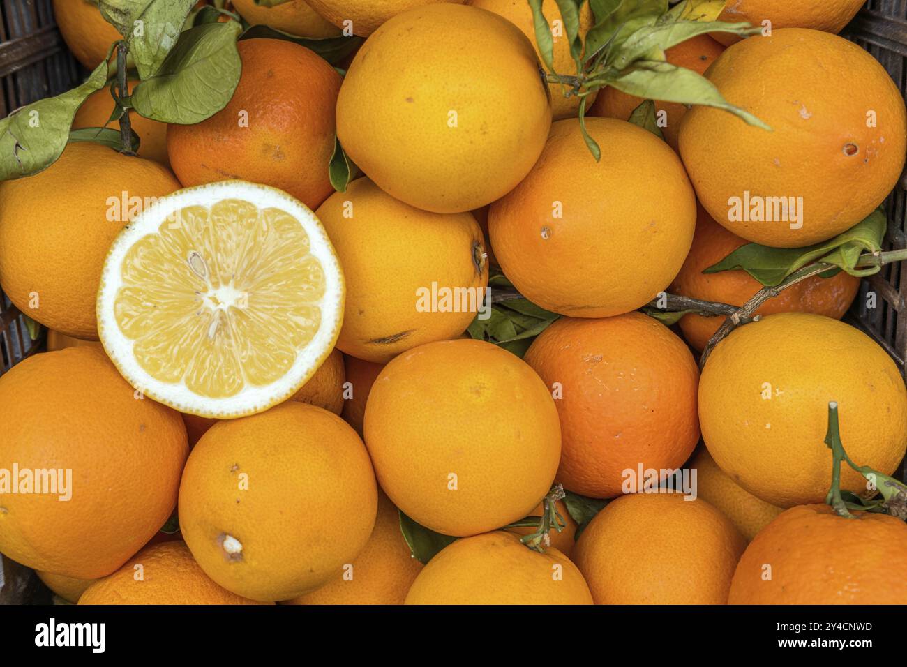 Ein Haufen von Orangen zum Verkauf auf dem Markt Stockfoto