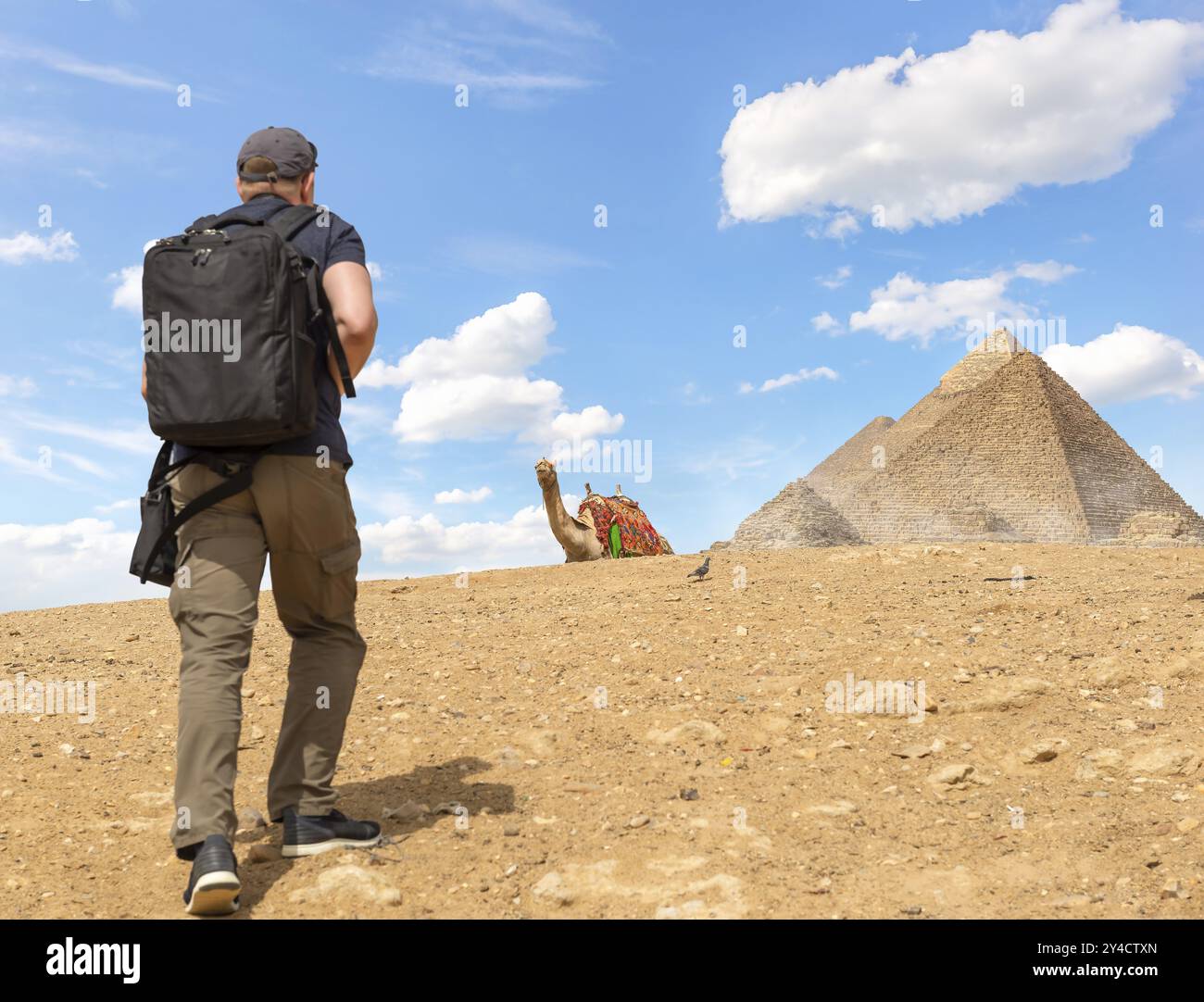 Backpacker, Kamel und Piratenmyden in Gizeh, Ägypten, Afrika Stockfoto