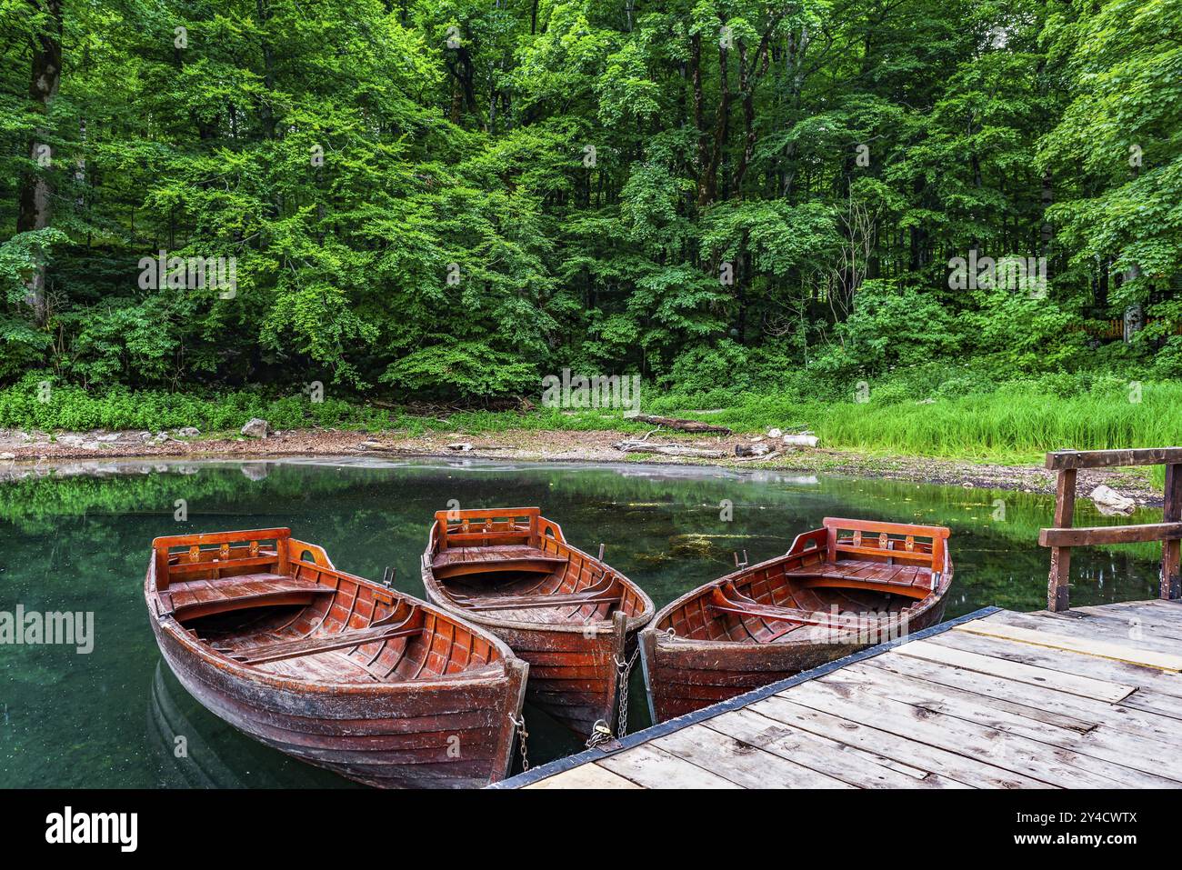 Alte Holzboote auf Biogradskoe See im Wald von Montenegro Stockfoto