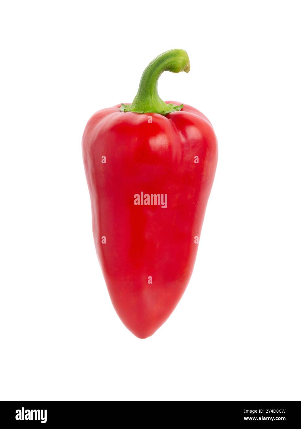 Pfeffergemüse isoliert auf weißem Hintergrund. Ganze Paprika ausgeschnitten, Nahaufnahme Stockfoto