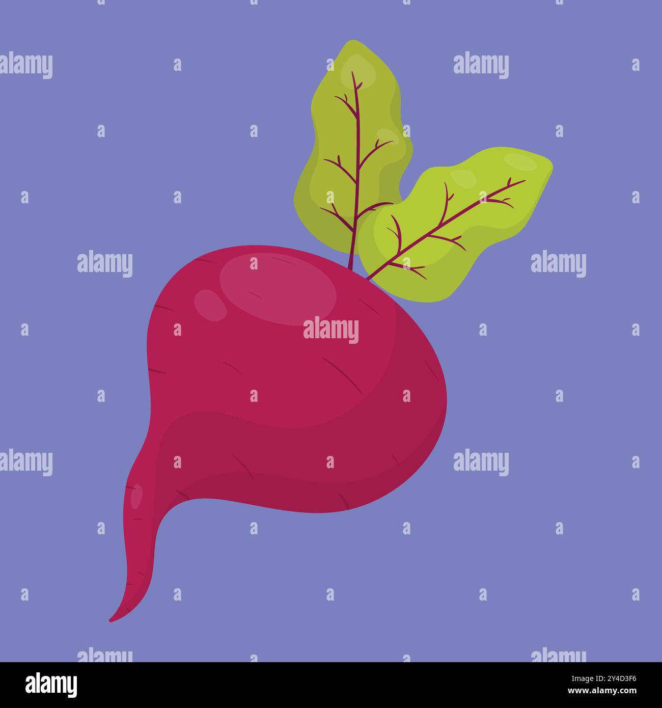 Rote-Bete-Gemüse oder Rettich mit Blättern. Vektor des Symbols Rote Bete. Stock Vektor