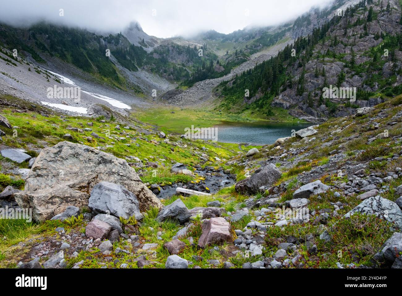 Creek mündet in Bagley Lake, Heather Meadows, Mount Baker an bewölktem Tag. Der Chain Lakes Trail schlängelt sich bis zum Bergrücken auf dem weit entfernten Hang. Stockfoto