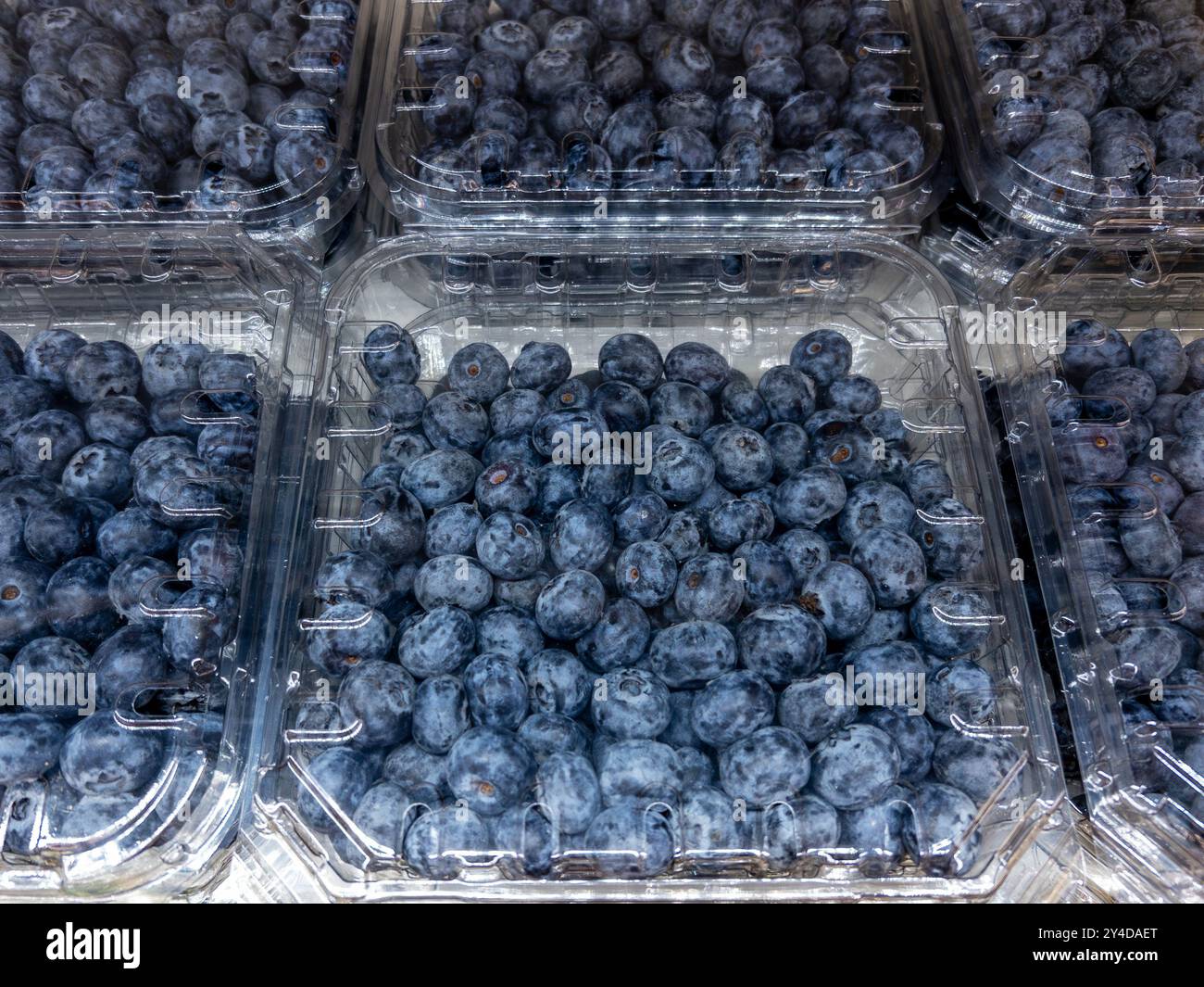 Heidelbeeren in durchsichtigen Plastikboxen zum Verkauf im Supermarkt Stockfoto