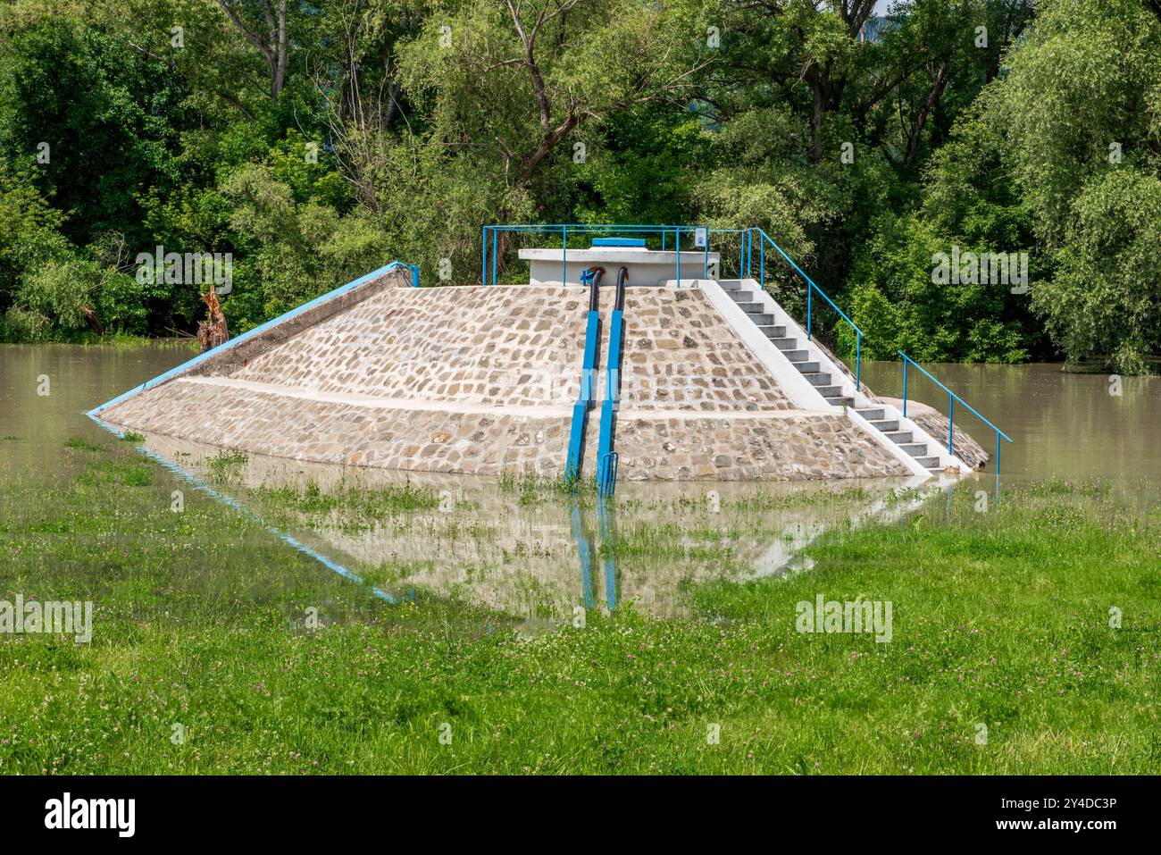 Grundwasserbrunnen. Hochwasser und saisonale Überschwemmung im Sommer und Herbst nach Regen. Die Pflanzen am Flussufer werden von der Donau in su überflutet Stockfoto