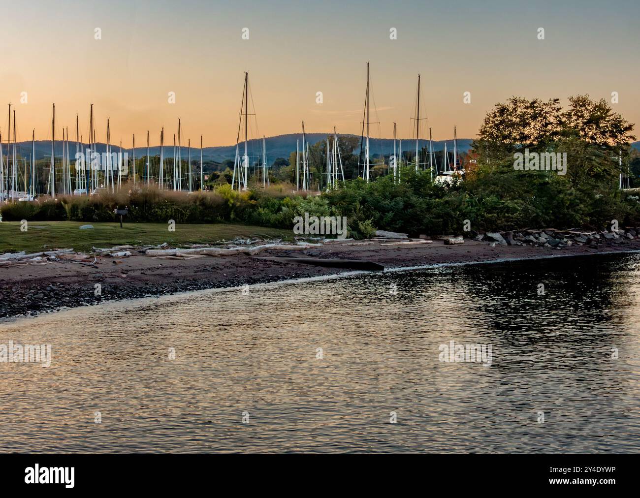 West Haverstroh, NY - USA - 10. September 2024 der Yachthafen am Hudson Water Club am Hudson River verfügt über Reihen von Segelbooten vor einer grünen Kulisse Stockfoto