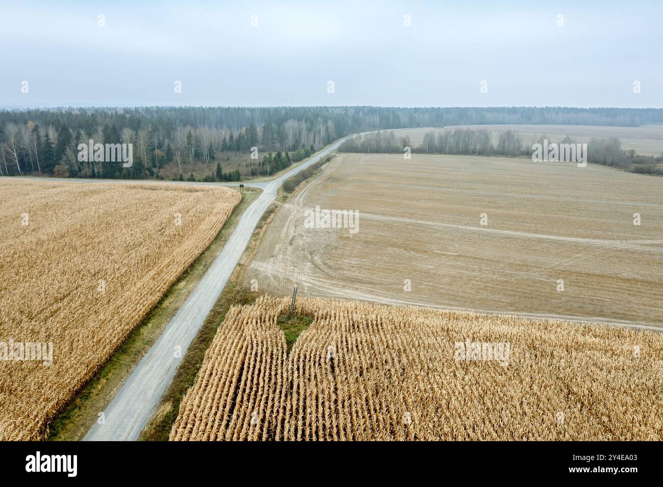 Ländliche Landschaft mit unbefestigtem Weg zwischen Weizenfeldern und gepflügtem Feld an bewölktem Herbsttag. Luftaufnahme. Stockfoto