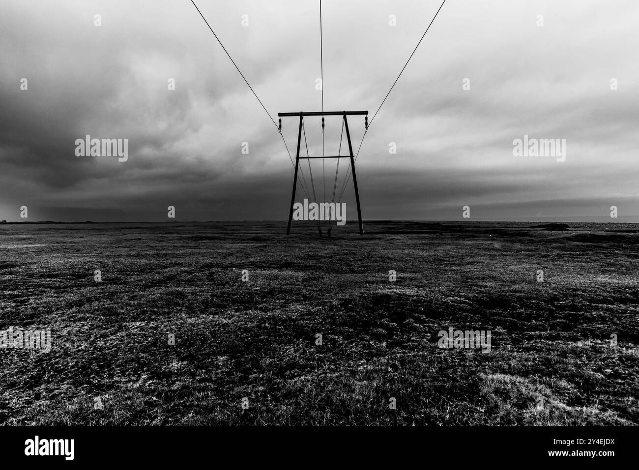 Stromleitungen mit symmetrischen Holzmasten zeichnen sich über einsame Vulkanebenen in Island ab Stockfoto