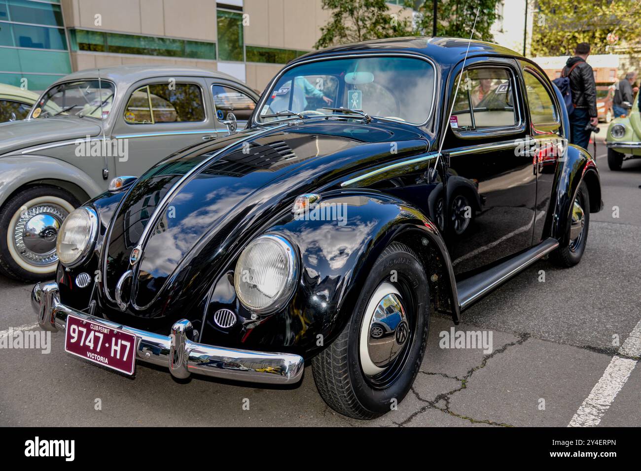 Schwarzer 1961er australischer Volkswagen Käfer, gebaut in Clayton, Victoria, mit klassischer Chromverarbeitung und originalem Stil Stockfoto