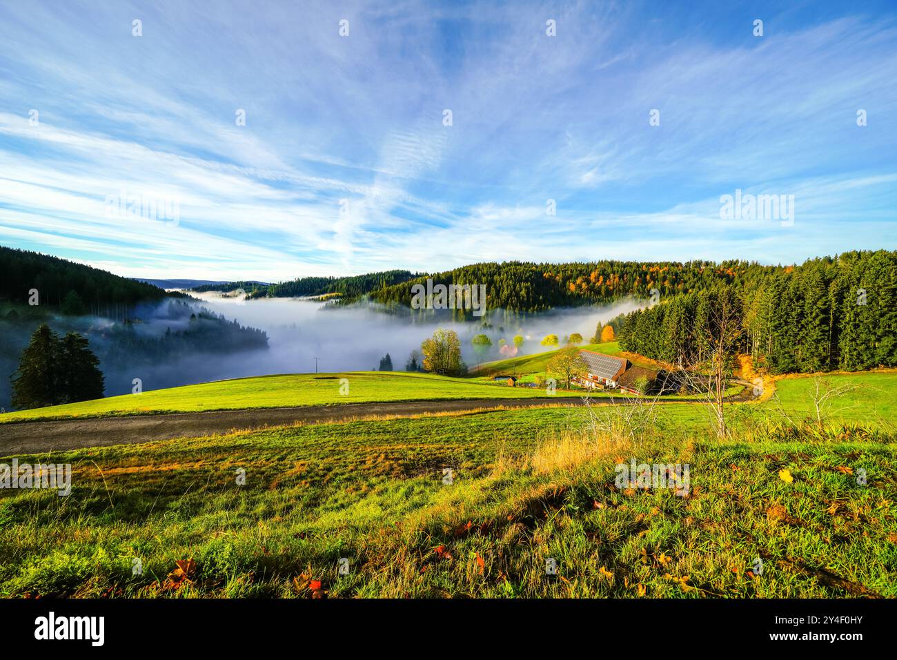Herbstliche Landschaft im Schwarzwald. Natur am Morgen mit tief liegenden Wolken im Tal. Stockfoto