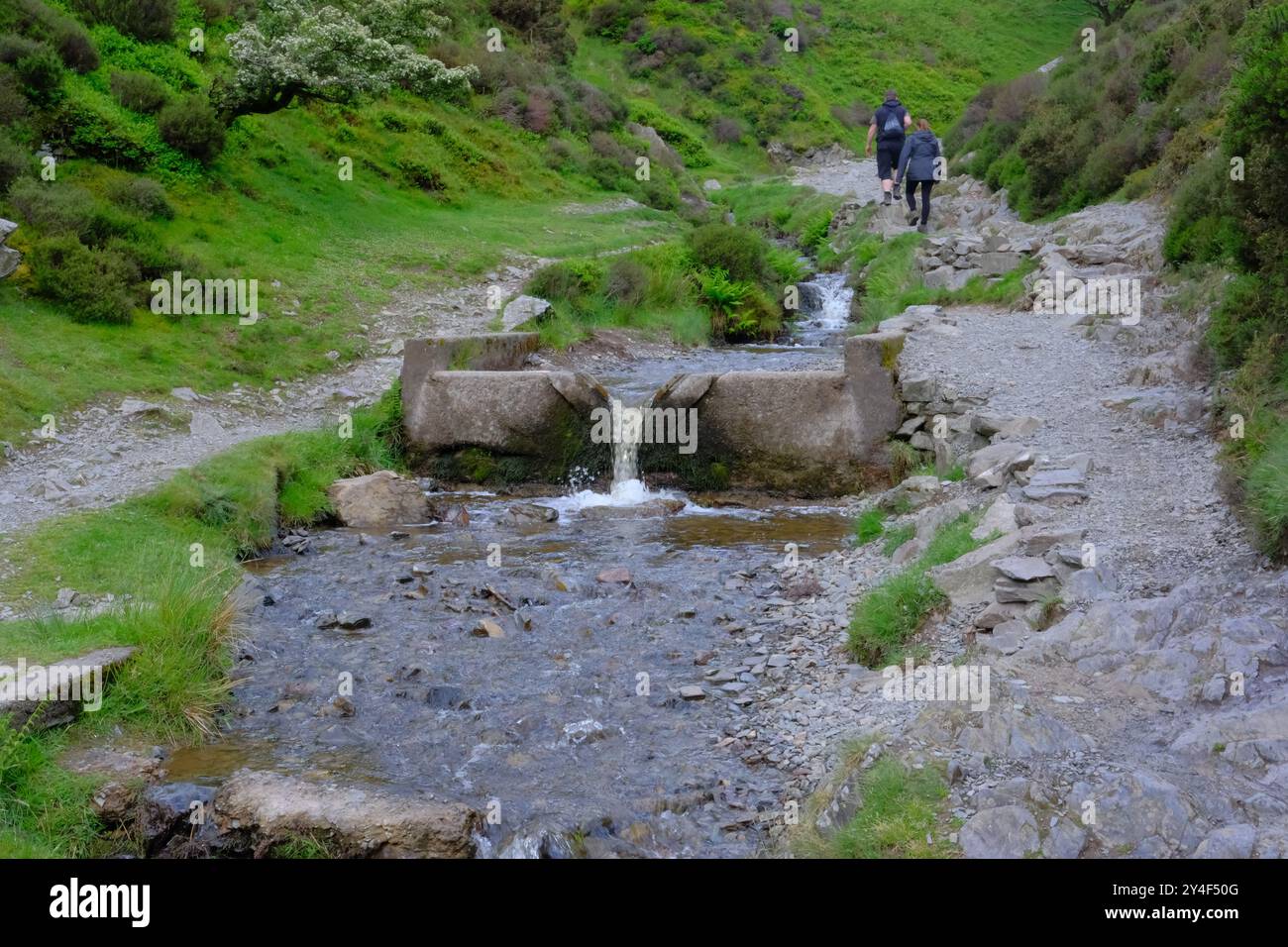 Einen Spaziergang am Fluss machen Stockfoto