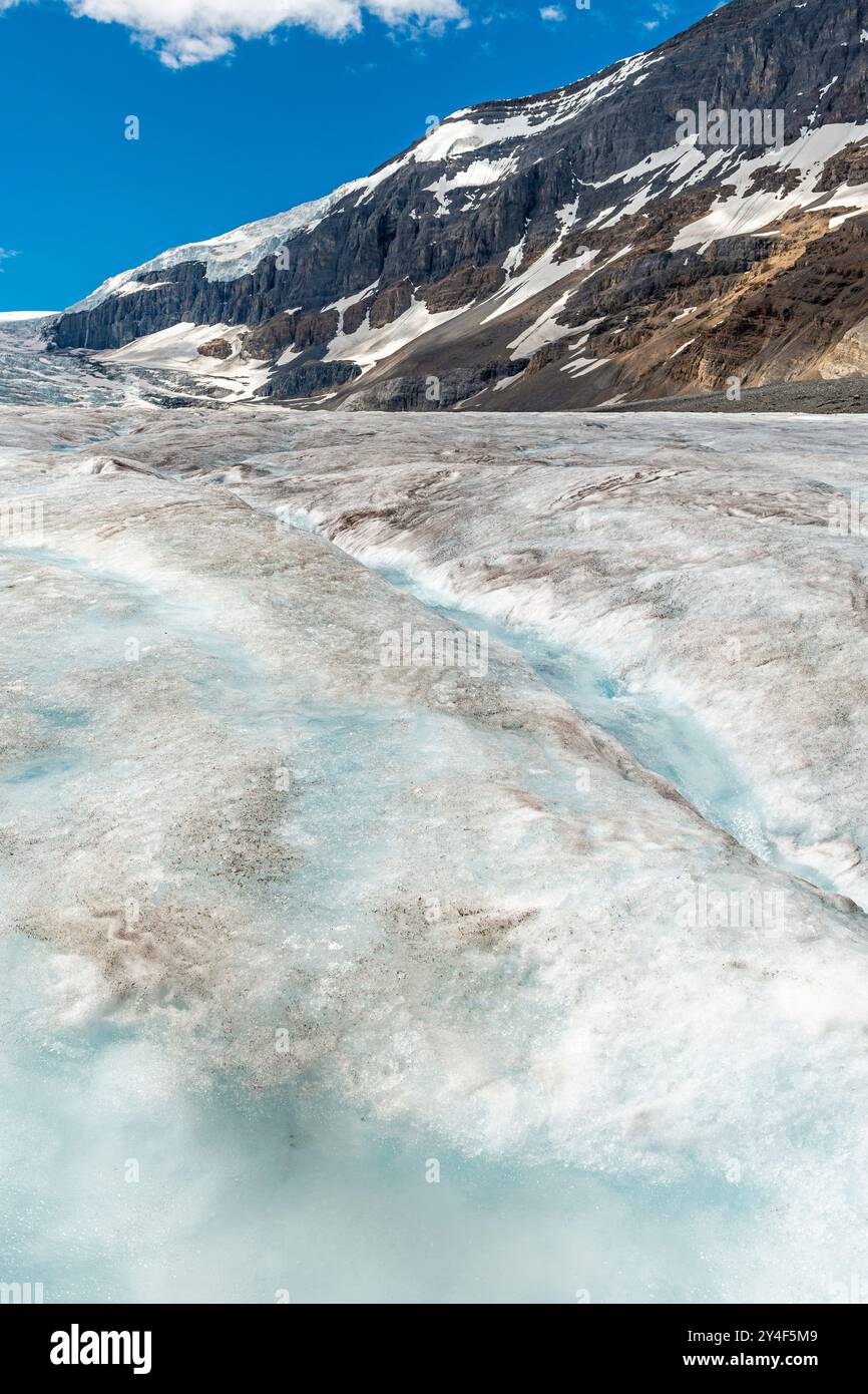 Schmelzwasser des schmelzenden Athabasca-Gletschers im Sommer, Jasper und Banff-Nationalpark, Kanada. Stockfoto