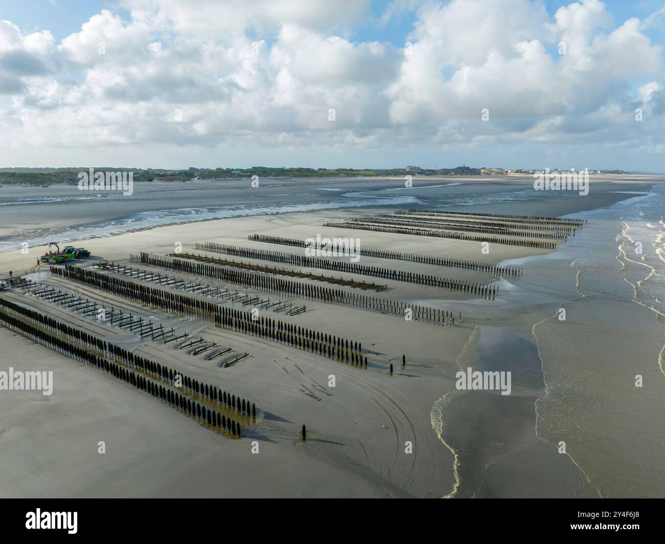 Berck-sur-Mer (Nordfrankreich): Miesmuschelzucht entlang des Küstengebiets cote d'Opale. Aus der Vogelperspektive auf von den Gezeiten entdeckten Miesmuschelbeeten Stockfoto