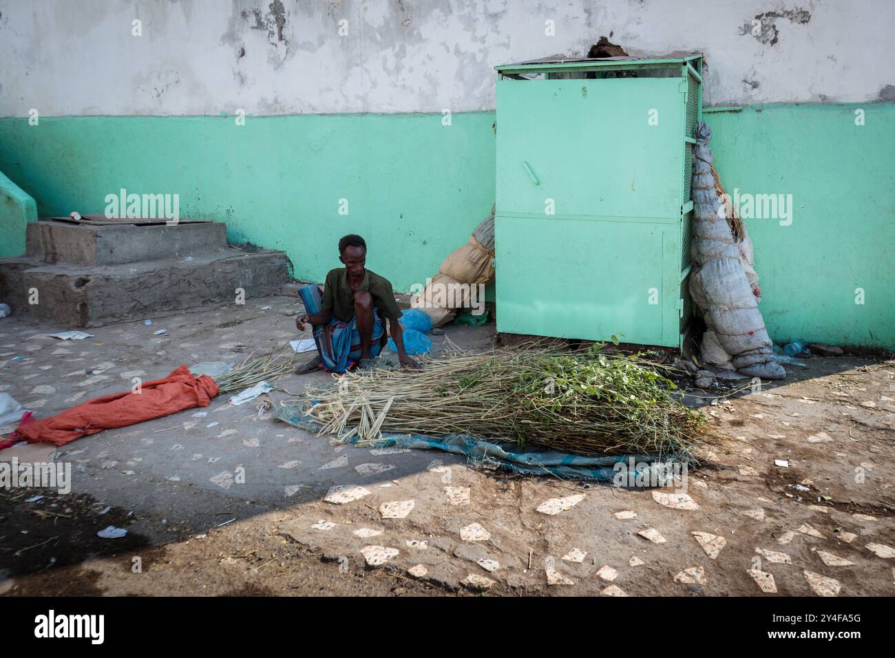 Dschibuti: Mann, der auf dem Boden sitzt und Pilu-Stiele vorbereitet. Die Völker der Somali und Afar verwenden den Namen Zahnbürstenbaum, Arak, Jhak, Pilu oder Senfbaum Stockfoto