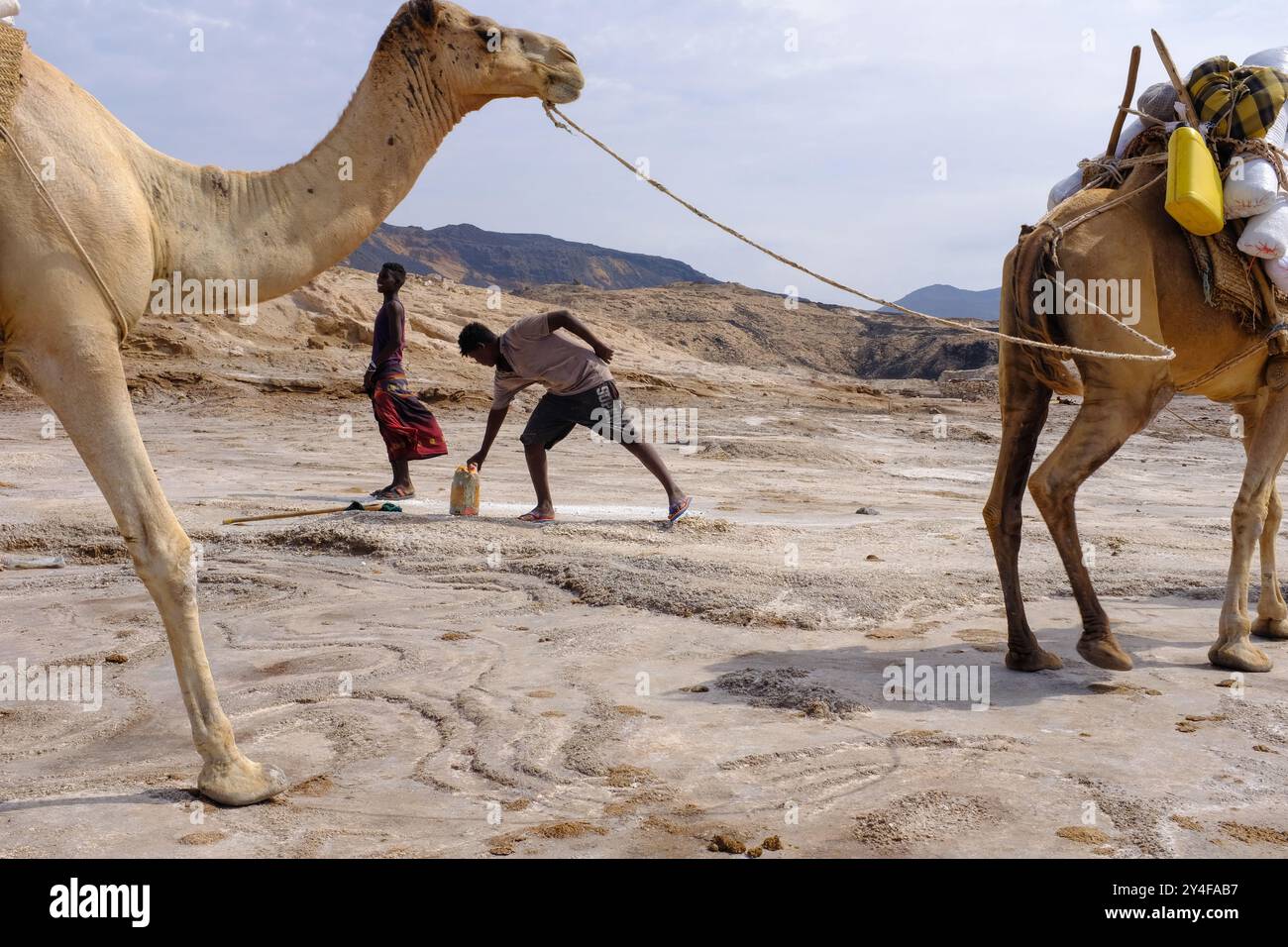 Djibouti, Lake Assal: Salzsee, der 155 m (509 ft) unter dem Meeresspiegel im Afar-Dreieck liegt und damit der niedrigste Punkt an Land in Afrika und dem Afar-Dreieck ist Stockfoto