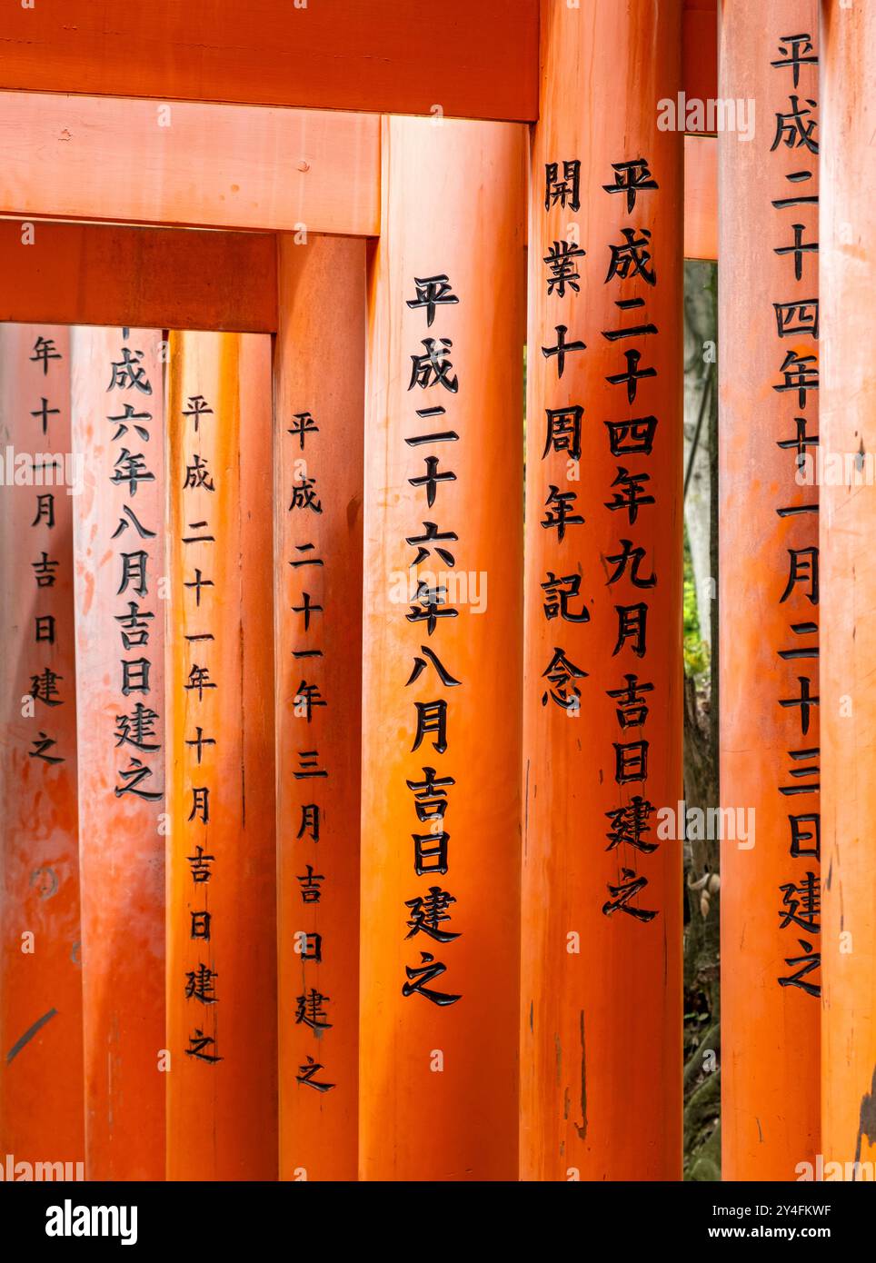 Torii Tore, Fushimi Inari-Taisha Schrein, Kyoto, Japan Stockfoto