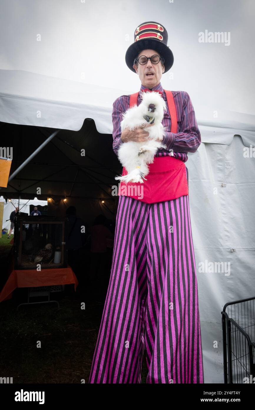 Ein Mann auf Stelzen, der ein preisgekröntes Huhn hält - ein Satz, den ich schon immer sagen wollte. Auf der 100. Yorktown Grange Fair in Westchester, New York. Stockfoto