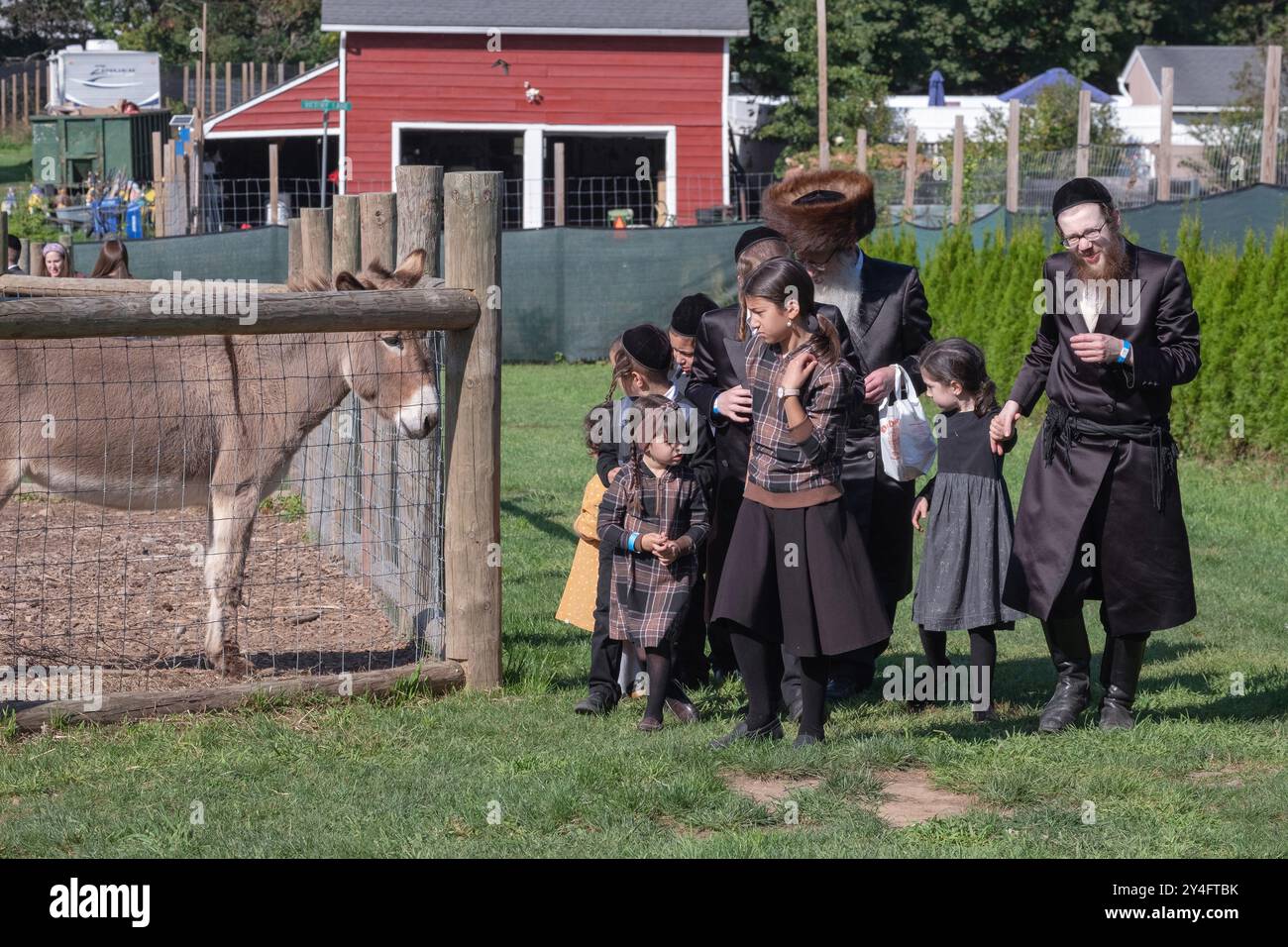 Eine orthodoxe jüdische Familie feiert Sukkos mit einem Besuch eines Streichelzoo und eines lustigen Ortes für Kinder. In Monsey, New York. Stockfoto