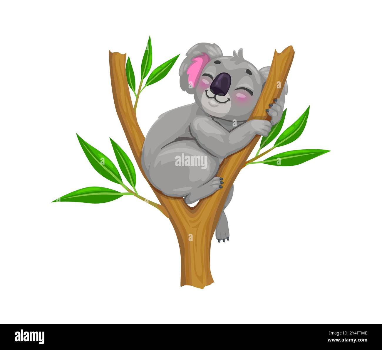 Der niedliche Koala-Bär-Charakter, der friedlich auf dem Eukalyptusbaum schläft. Isoliertes tropisches Vektor-Tier mit flauschigem grauem Fell, bezauberndem Charme und entspannter australischer Atmosphäre Stock Vektor