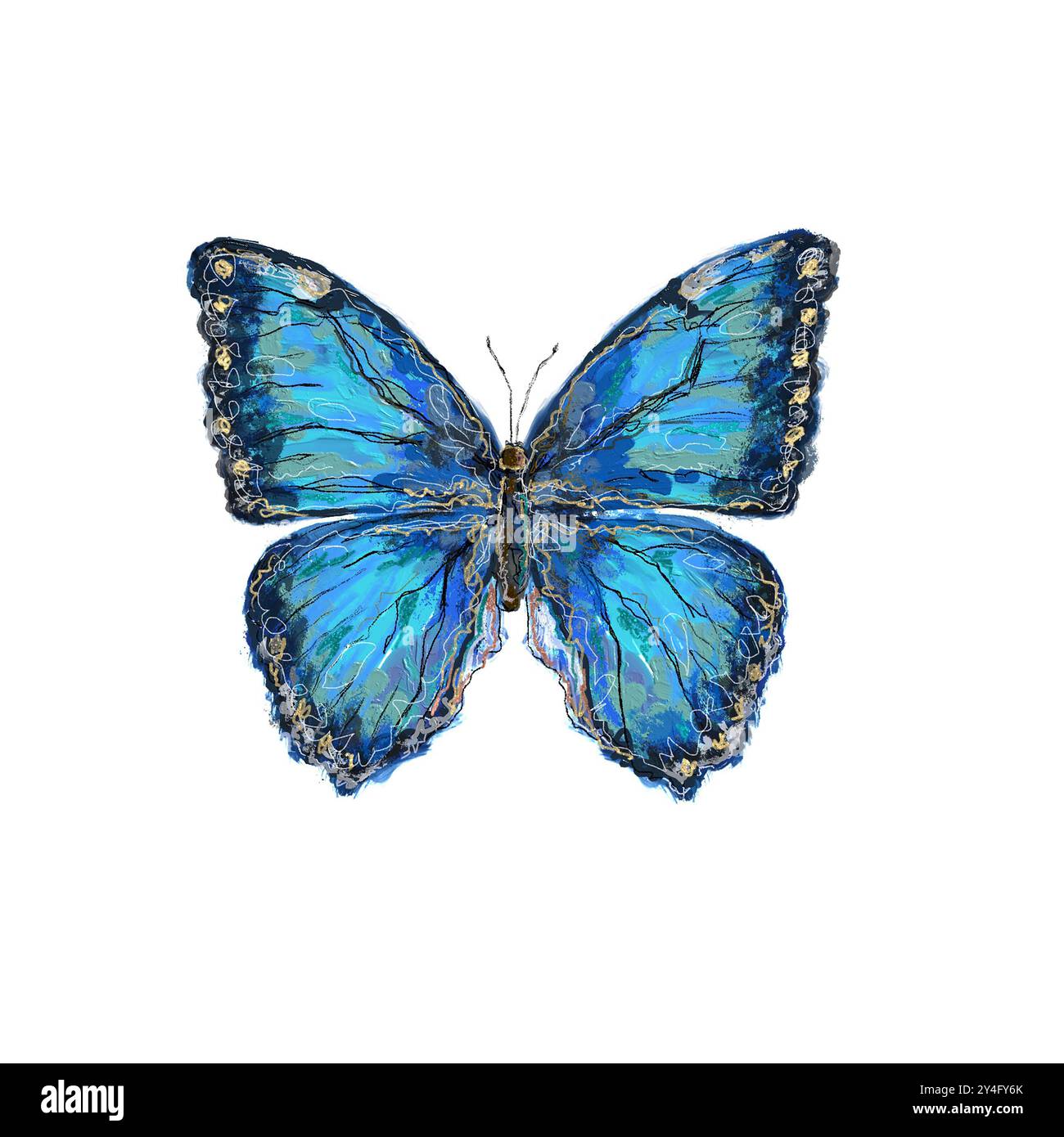 Schöne handgezeichnete Morpho-Schmetterling transparente PNG-Illustration mit goldener Umrandung in einer hohen Auflösung. Schicke, schöne, moderne Clip-Art. Strukturiert Stockfoto