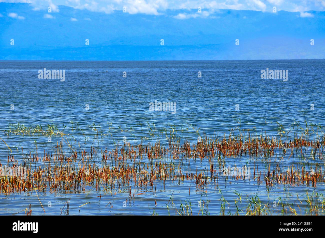 Albert rift tal -Fotos und -Bildmaterial in hoher Auflösung – Alamy