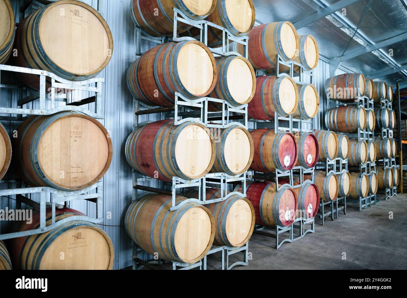 STANTHORPE, Queensland, Australien – Eichenfässer säumen den Gärungs- und Reiferaum der Summit Estate Winery in Queenslands Granite Belt. Diese traditionellen Eichenfässer spielen eine entscheidende Rolle bei der Weinherstellung, da sie unterschiedliche Aromen vermitteln und eine ordnungsgemäße Reifung ermöglichen. Die Fässer stellen eine wichtige Ausrüstung für die Herstellung von Weinen mit kaltem Klima dar. Stockfoto