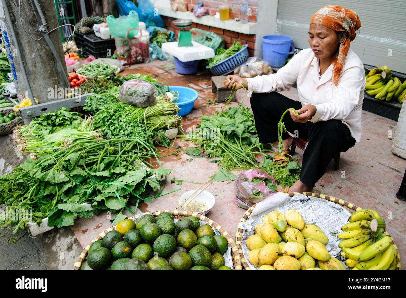 Markt für Frischwaren Hanoi Vietnam // HANOI, Vietnam — Frischprodukte zum Verkauf auf einem lokalen Markt in Hanoi, Vietnam. Der Markt bietet eine Fülle an frischem Obst, Gemüse und Kräutern, ein lebendiger Teil des täglichen Lebens in der Stadt, wo die Einheimischen frische, saisonale Zutaten kaufen. Stockfoto