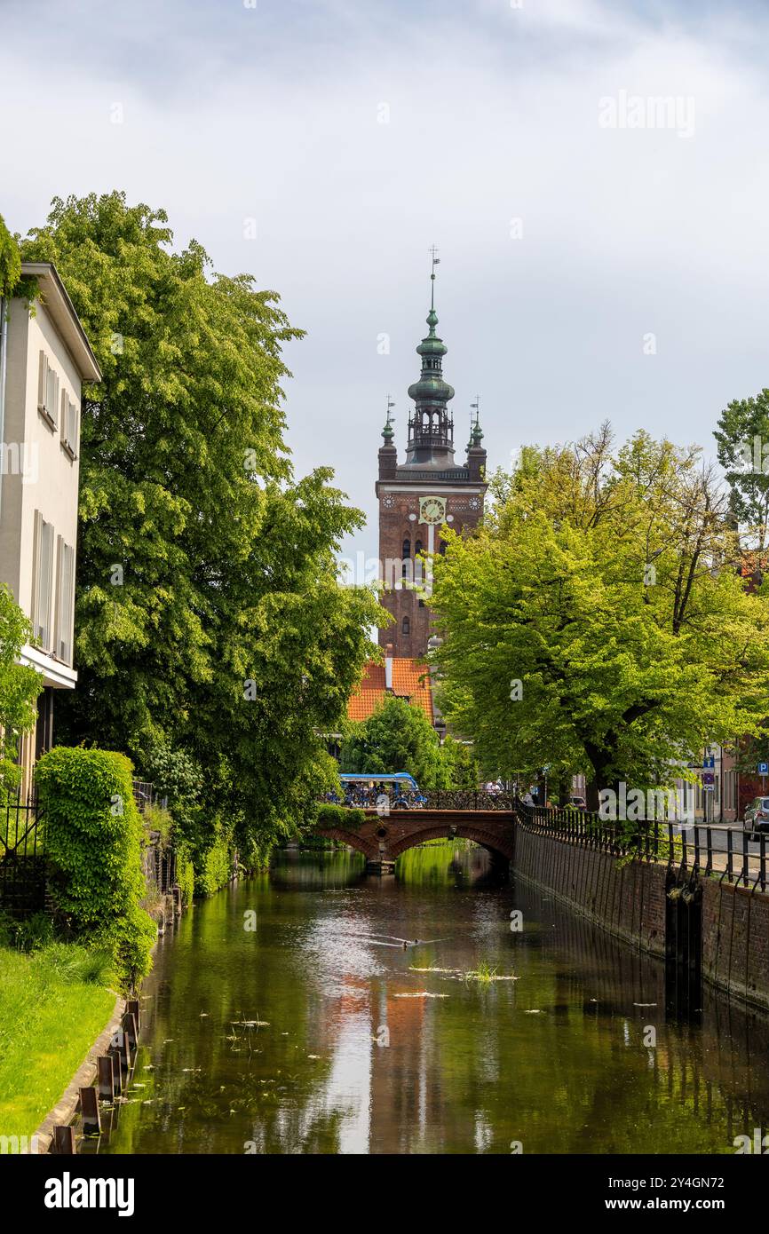 Malerischer Blick auf den Kanal mit üppigem Grün und dem majestätischen Uhrturm der Katharinenkirche in Danzig, Polen, an einem friedlichen Tag. Stockfoto