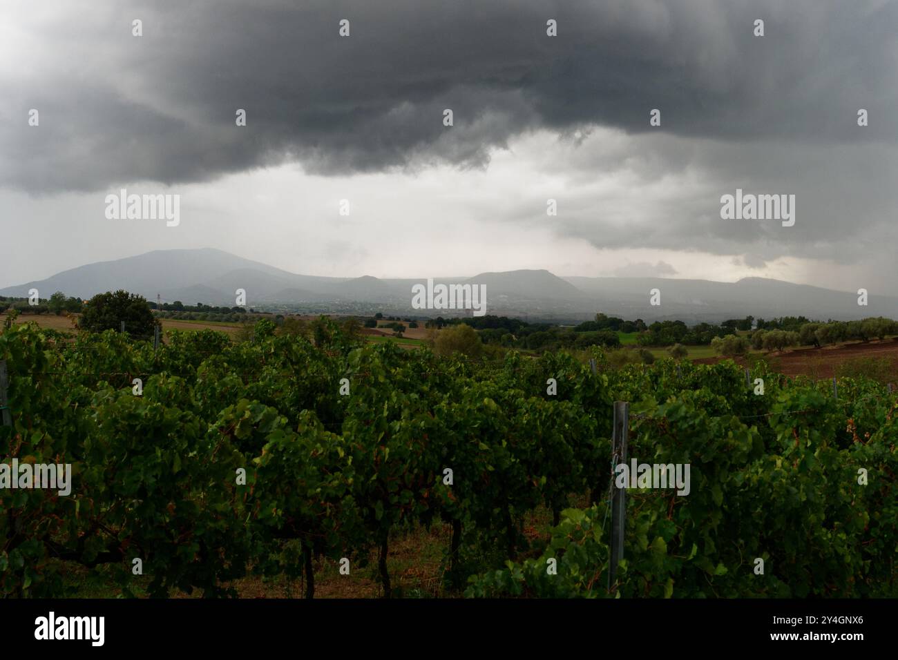 Dramatische dunkle Wolken über den Weinbergen und Hügeln von av in der Stadt Montefiascone, Region Latium, Italien. September 2024 Stockfoto