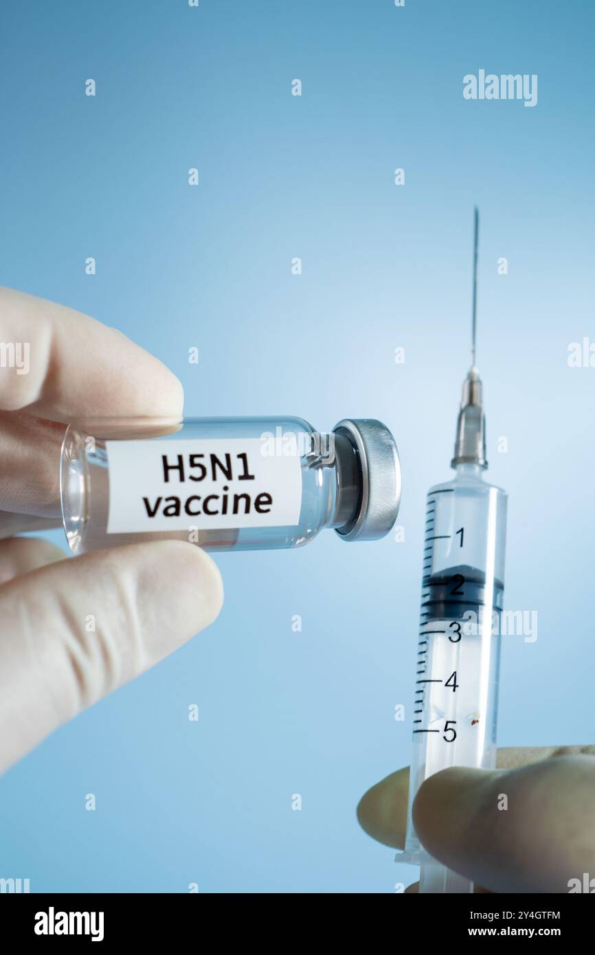 Nahaufnahme von H5N1-Vogelgrippevirus-Impfstoff und -Spritze Stockfoto