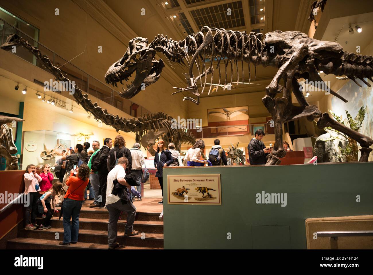 Smithsonian National Museum of Natural History Dinosaur Hall Washington DC // WASHINGTON DC — die alte Dinosaur Hall im Smithsonian National Museum of Natural History, wie sie vor ihrer Schließung im April 2014 für eine vollständige Überholung und Renovierung erschien. Die Ausstellung zeigte verschiedene Dinosaurierskelette und Fossilien, die die umfangreiche paläontologische Sammlung des Museums in ihrer ursprünglichen Präsentation vor dem Modernisierungsprojekt zeigten. Stockfoto