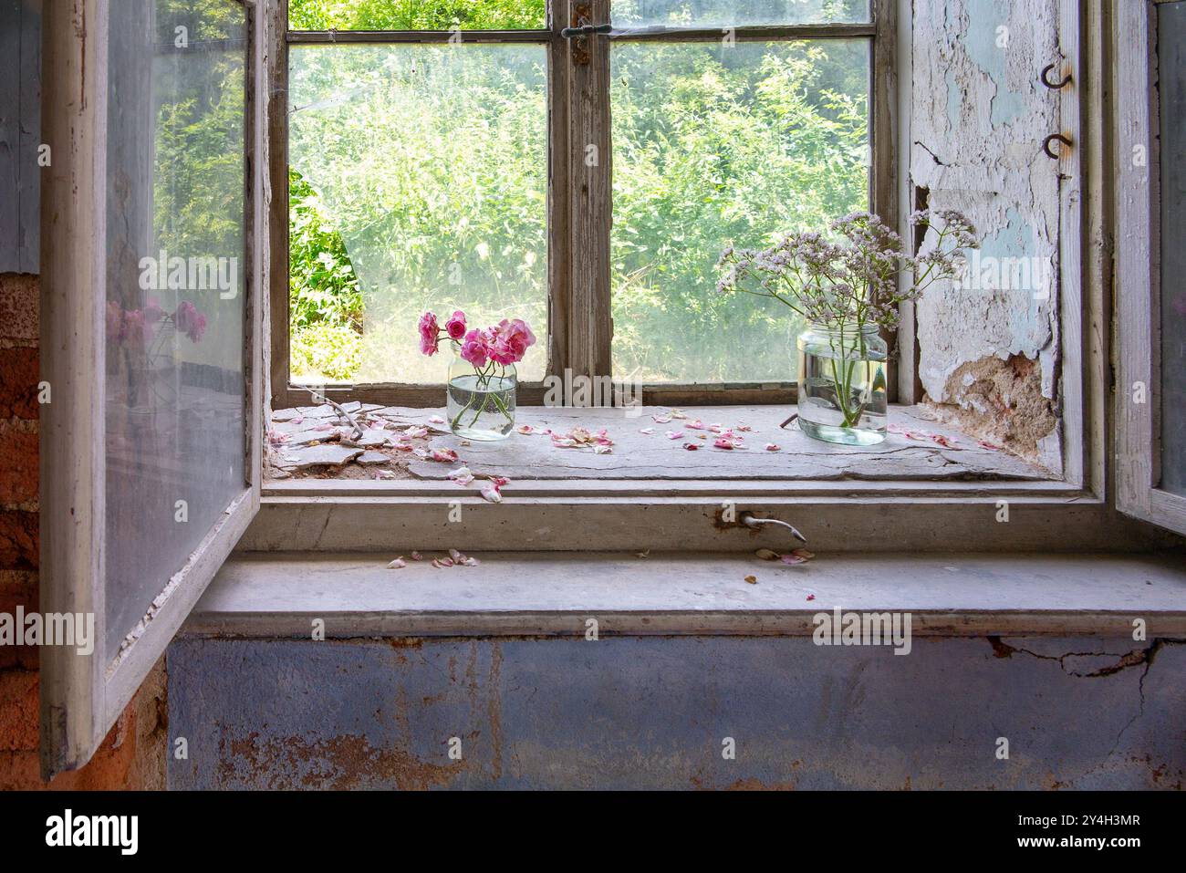 Altes Doppelfenster - von innen offen, Blumendekoration am kaputten Fenster Stockfoto