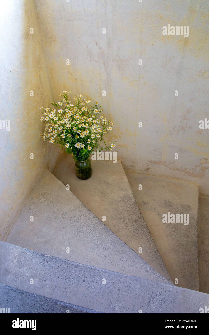 Dekoratives Stillleben, Stillleben mit Blumen auf alten Treppen, Stillleben Blumen in einer Vase Stockfoto