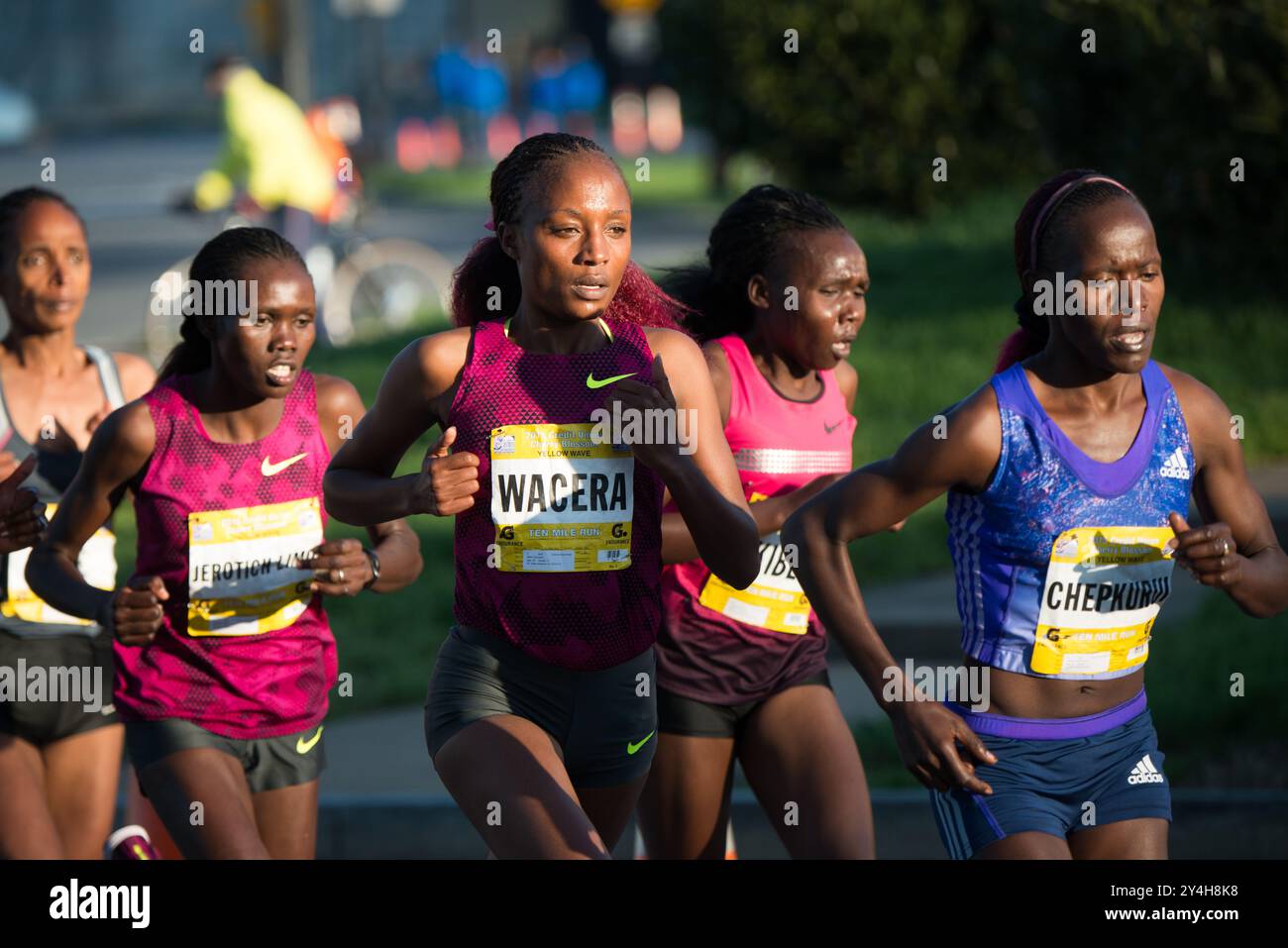 Cherry Blossom Ten Mile Run Runners Washington DC // WASHINGTON DC – Elite-Läufer führen das Spiel beim jährlichen Cherry Blossom Ten Mile Run an, einem der wichtigsten Frühlingsrennen in der Hauptstadt des Landes. Die beliebte Veranstaltung zieht in der Regel Tausende von Teilnehmern an, die auf einem malerischen Kurs fahren, der sich durch Washingtons monumentalen Kern schlängelt, wenn die berühmten japanischen Kirschbäume blühen. Das 1973 gegründete Rennen wird vom Credit Union Cherry Blossom Ten Mile Run Committee organisiert und dient als Showcase-Event während des National Cherry Blossom Festival. Der Kurs nimmt Läufer pas Stockfoto