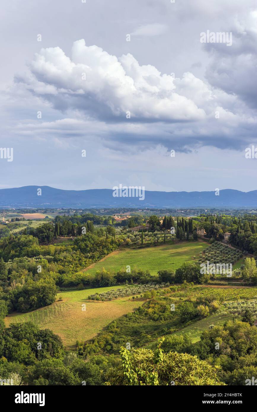 Hügelige Landschaft, Zypresse (Cupressus), Oliven, Olivenbaum (Olea europaea), Wetter, Wolken, Himmel, San Gimignano, Tourismus, Toskana, Italien, Europa Stockfoto