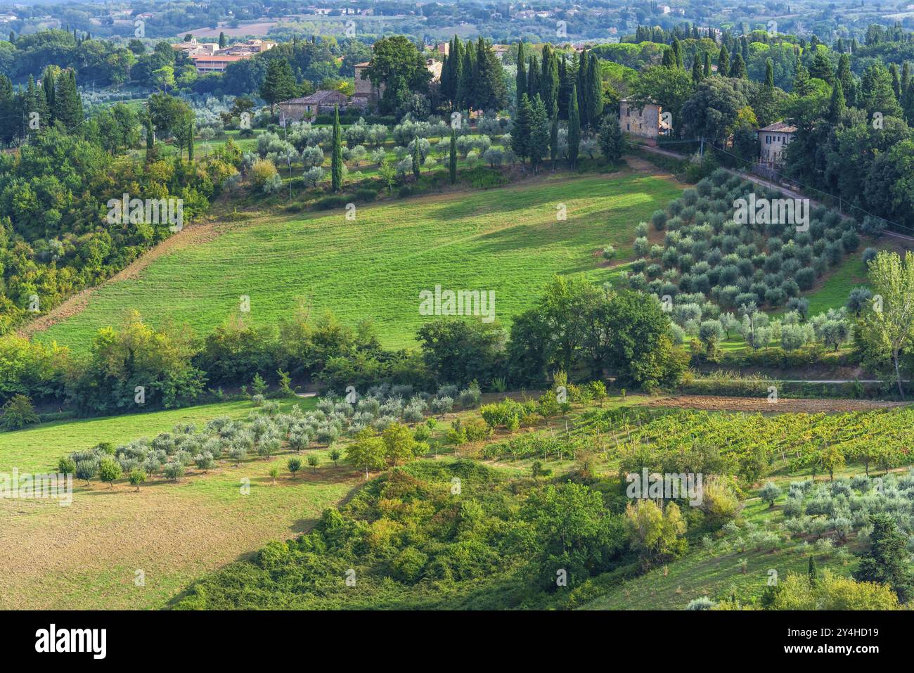 Hügelige Landschaft, Zypresse (Cupressus), Oliven, Olivenbaum (Olea europaea), Wetter, Wolken, Himmel, San Gimignano, Tourismus, Toskana, Italien, Europa Stockfoto