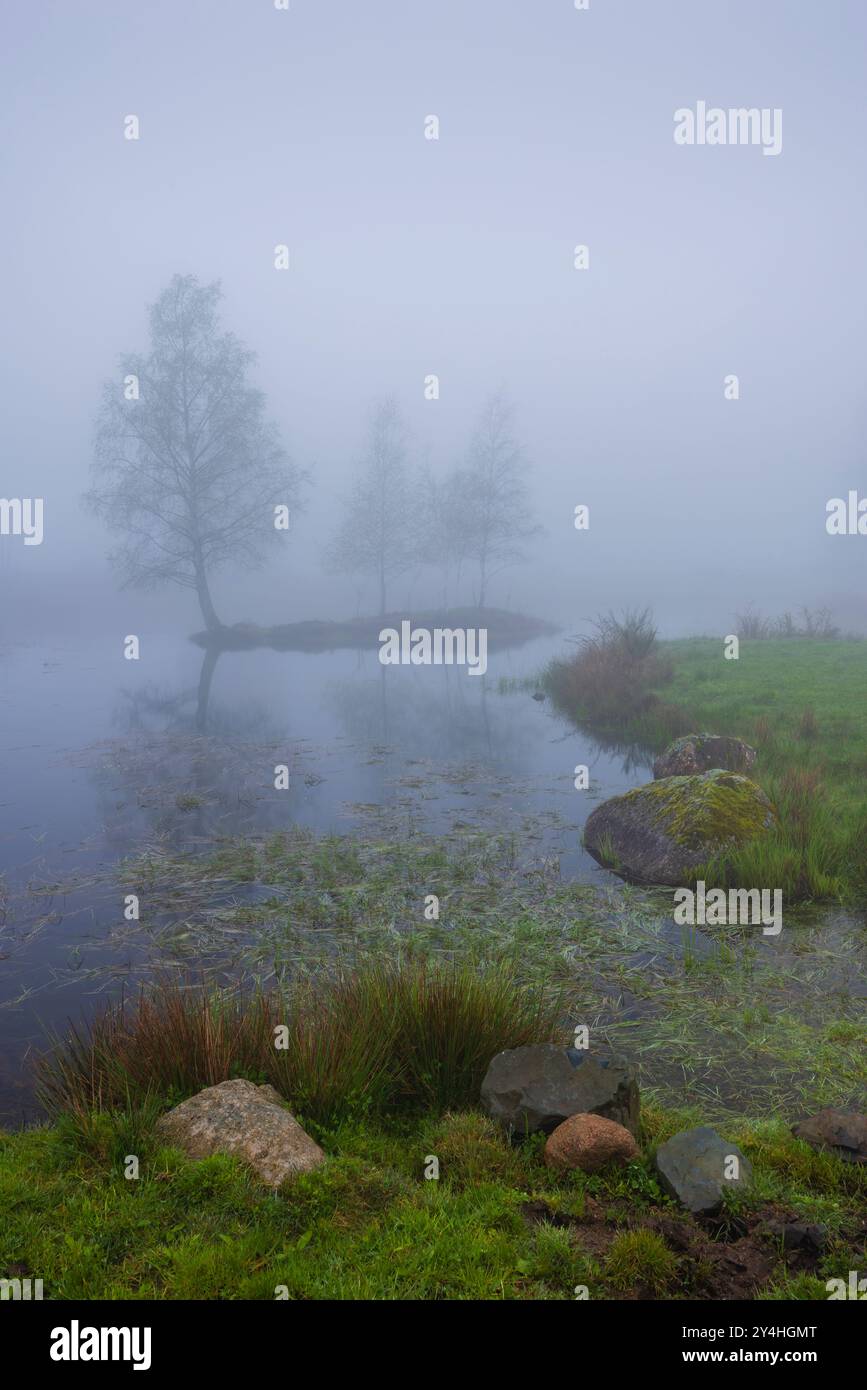 Plateau des Grilloux, Plateau der tausend Teiche (Plateau des Mille etangs), Haute Saone, Bourgogne-Franche-Comte, Frankreich Stockfoto