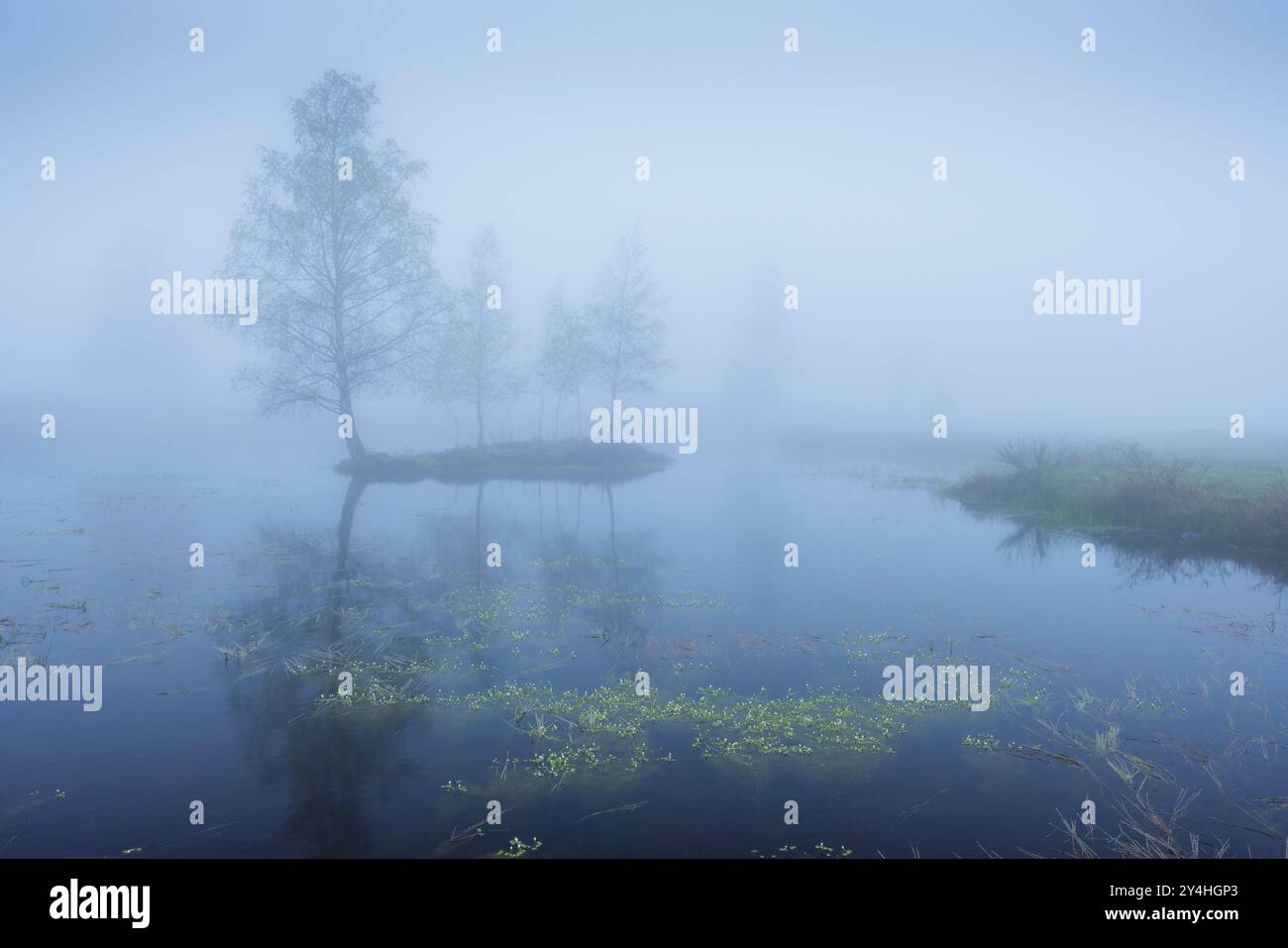 Plateau des Grilloux, Plateau der tausend Teiche (Plateau des Mille etangs), Haute Saone, Bourgogne-Franche-Comte, Frankreich Stockfoto