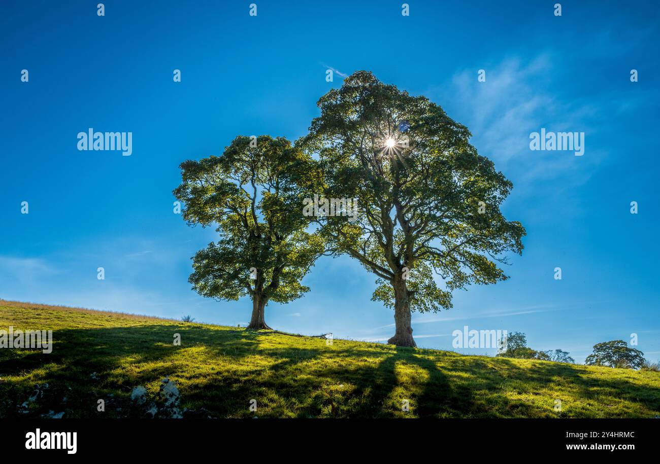 Frühherbstszene in South Lanarkshire, Schottland Stockfoto